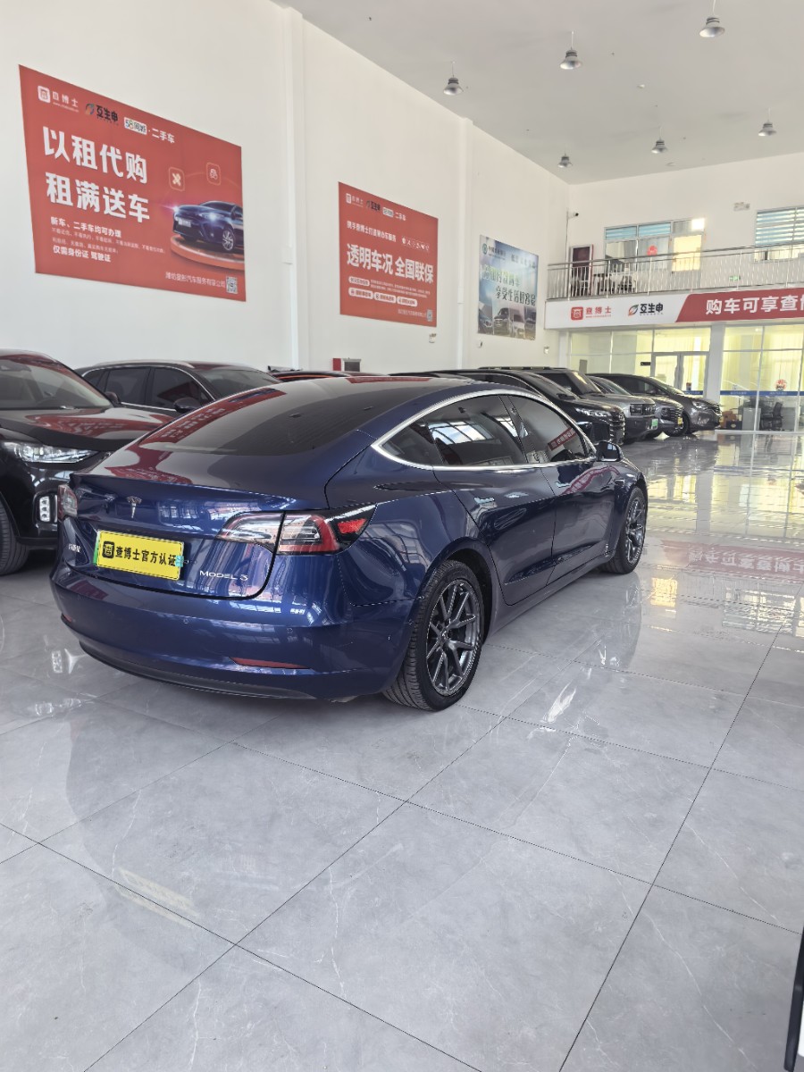 Tesla Model 3 2020 car image #8