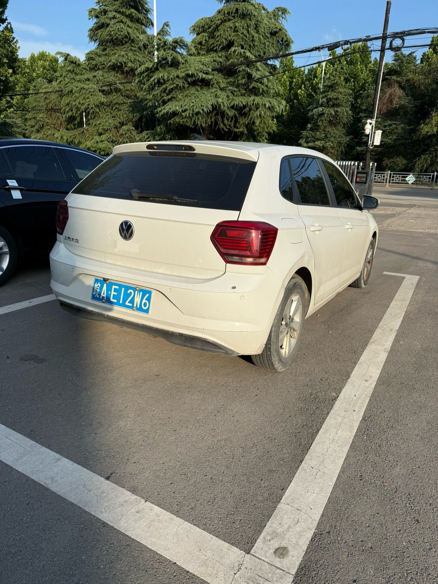 Volkswagen Polo 2023 car image #5