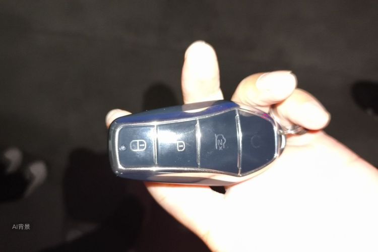 BYD YuanUP 2025 imagem de carro #10
