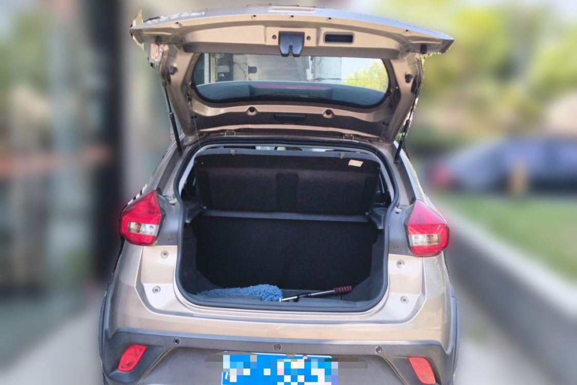 Chery Tiggo 3x 2020 immagine di auto #8