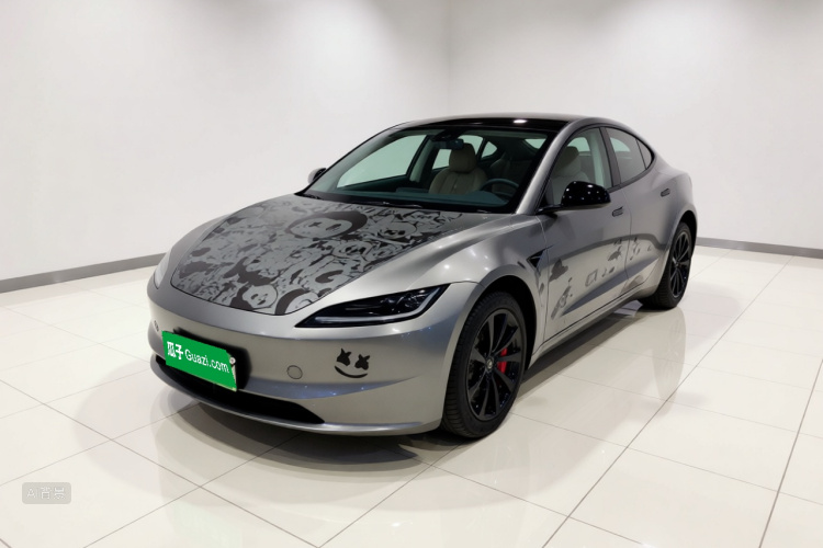 Tesla Model 3 2024 #2 Tesla Model 3 2024 car image #2
