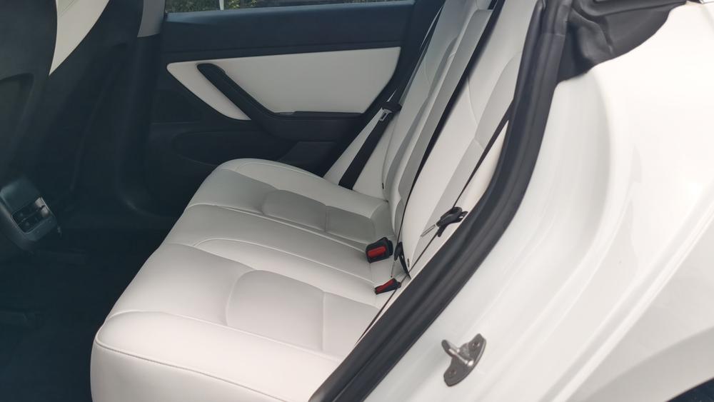 Tesla Model 3 2020 car image #19