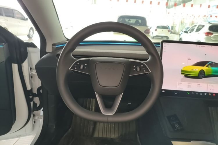 Tesla Model 3 2025 immagine di auto #11