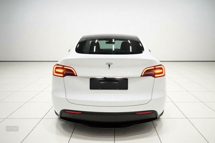 Tesla Model Y 2024 #6 Tesla Model Y 2024 car image #6
