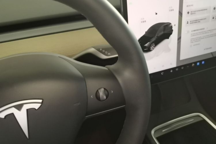 Tesla Model Y 2023 car image #14