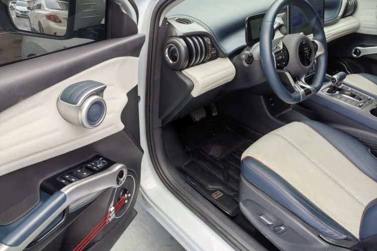 BYD Yuan Plus 2022 car image #20