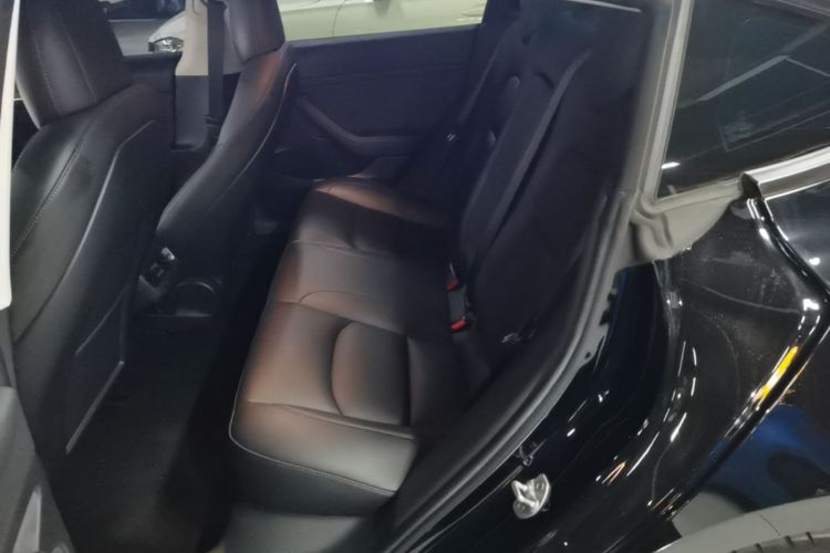 Tesla Model 3 2021 #13 Tesla Model 3 2021 car image #13