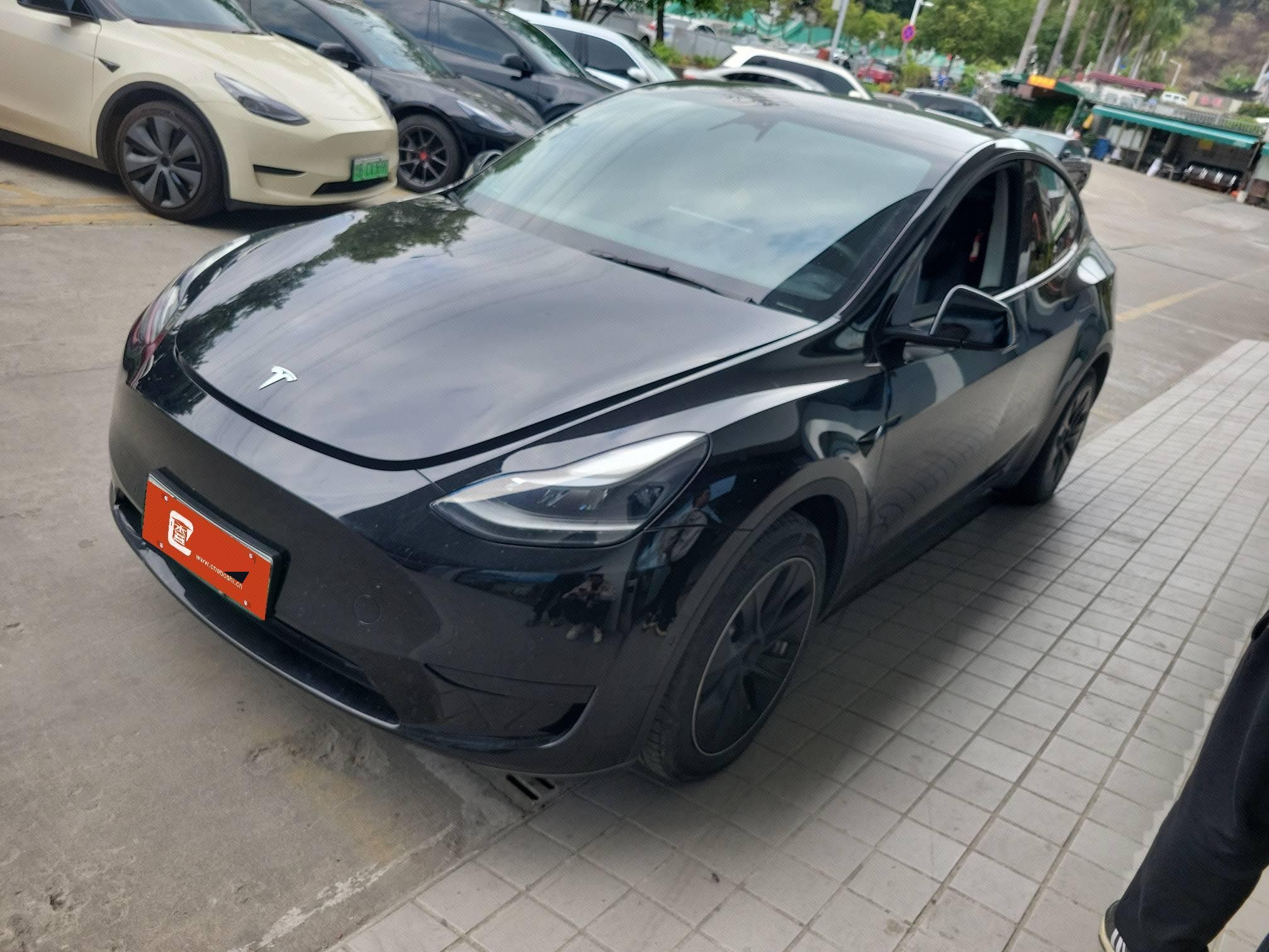 Tesla Model Y 2022 Tesla Model Y 2022 car image