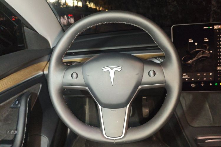 Tesla Model 3 2023 #12 Tesla Model 3 2023 صورة سيارة #12
