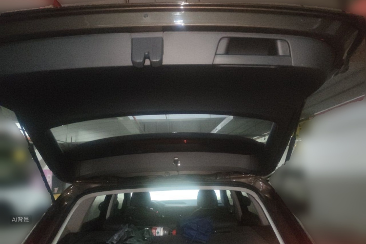 Volkswagen Tharu 2019 car image #21