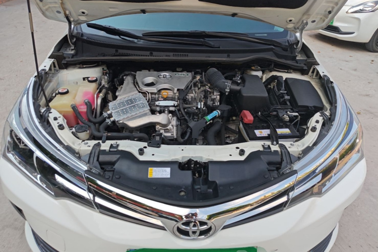 Toyota Corolla 2019 #20 Toyota Corolla 2019 car image #20