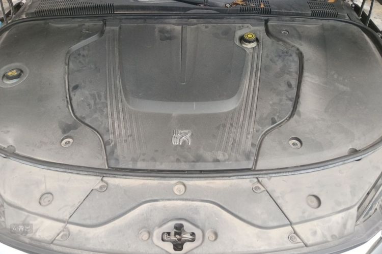 BYD Han 2021 car image #22
