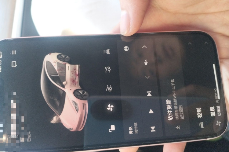 Tesla Model 3 2020 car image #10