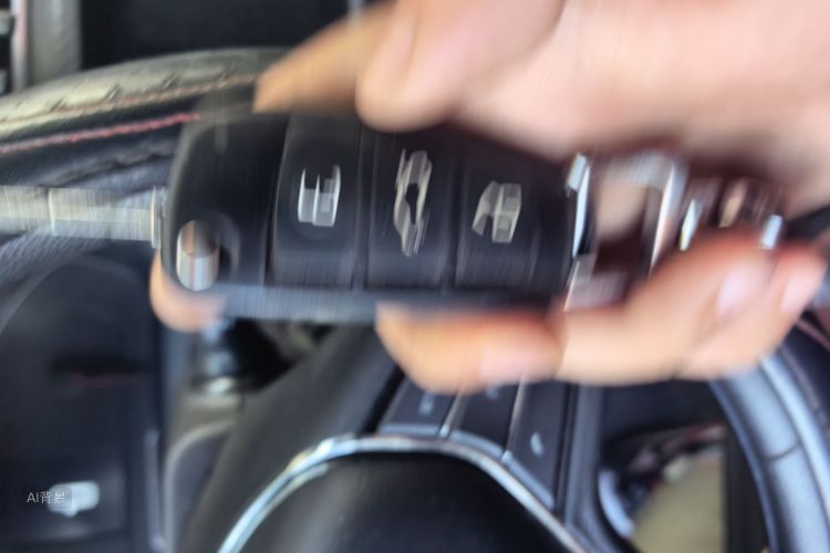 Chery Tiggo 3x 2020 car image #10