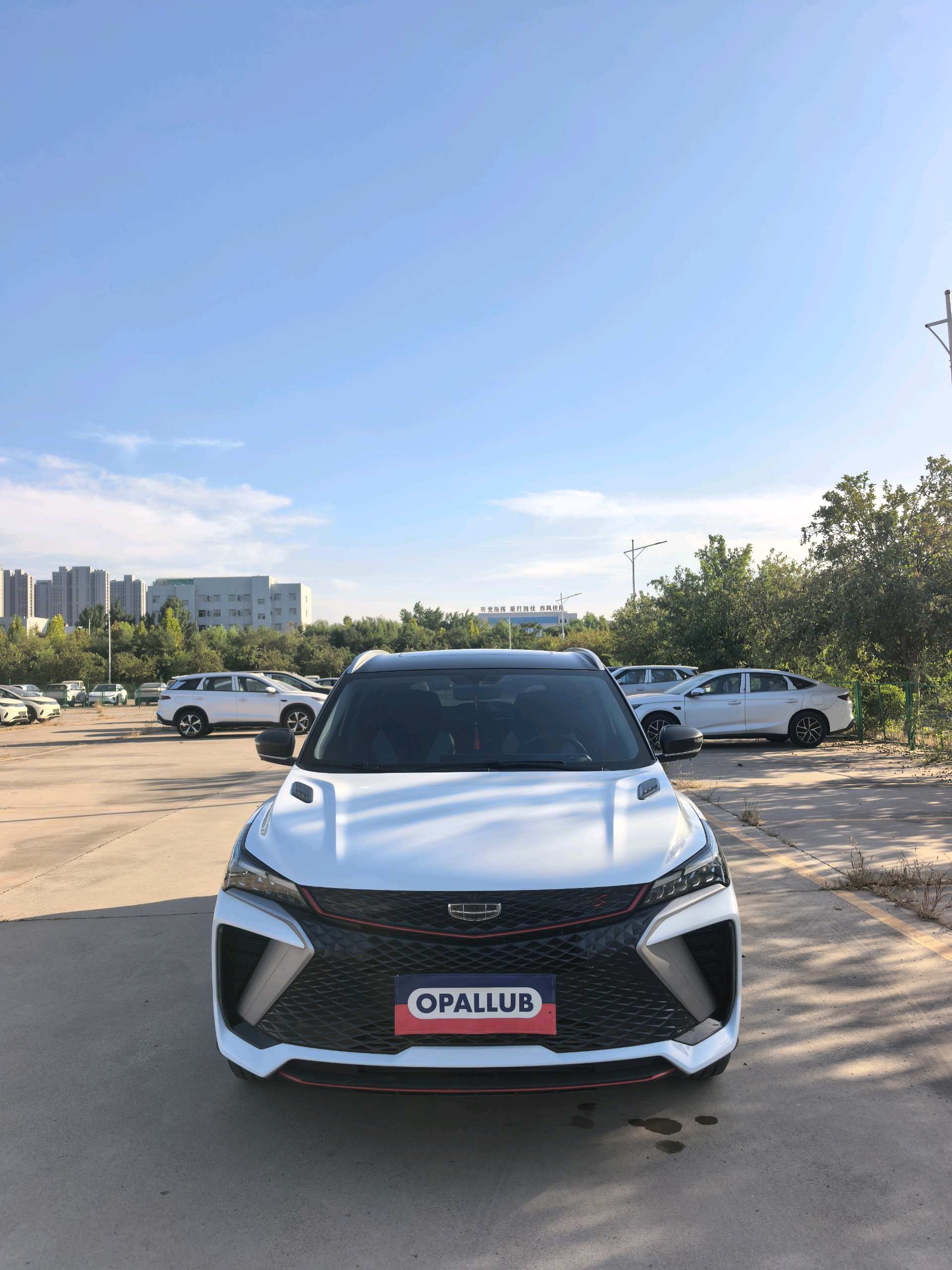 GEELY Coolray 2024 car image #2