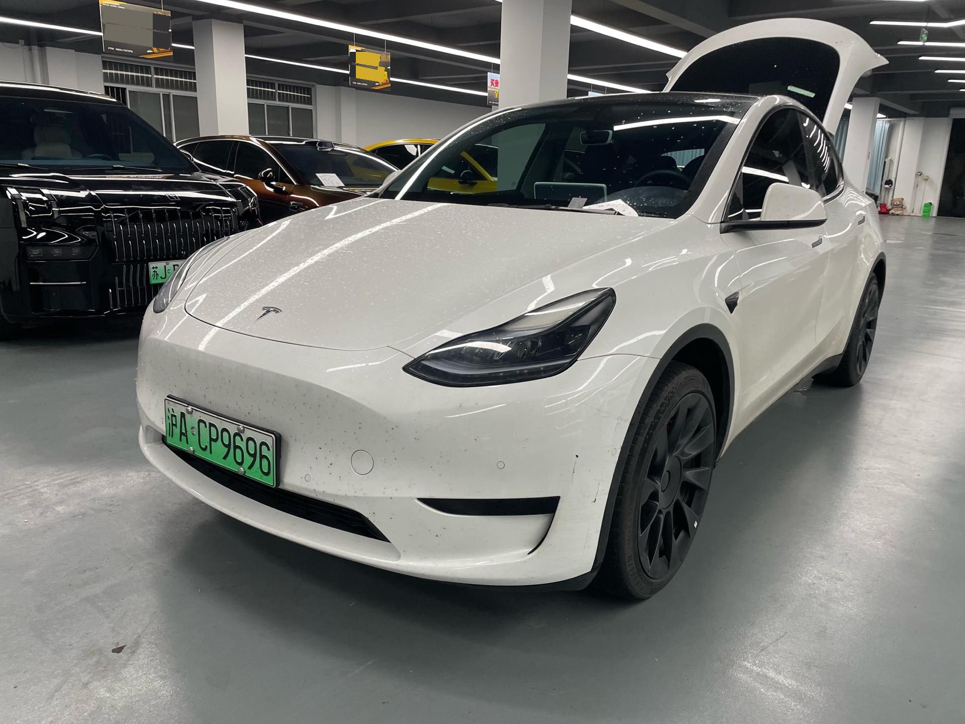 Tesla Model Y 2023 Tesla Model Y 2023 car image