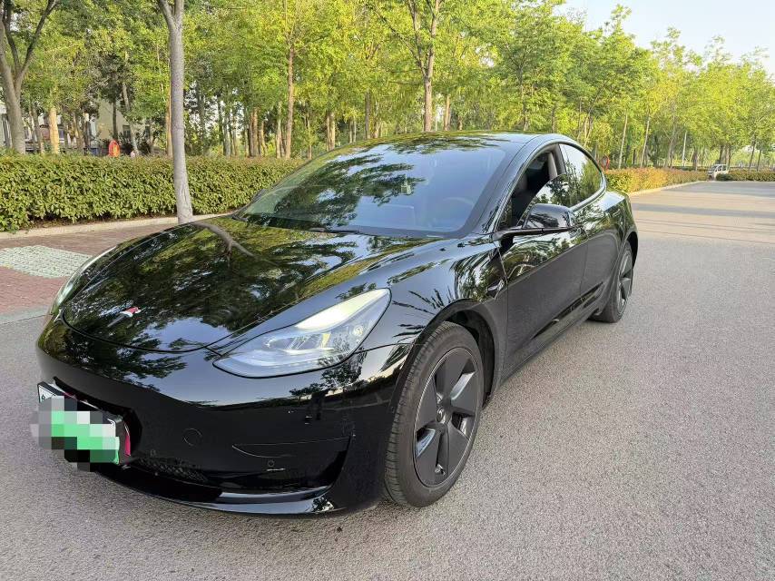Tesla Model 3 2023 Tesla Model 3 2023 car image