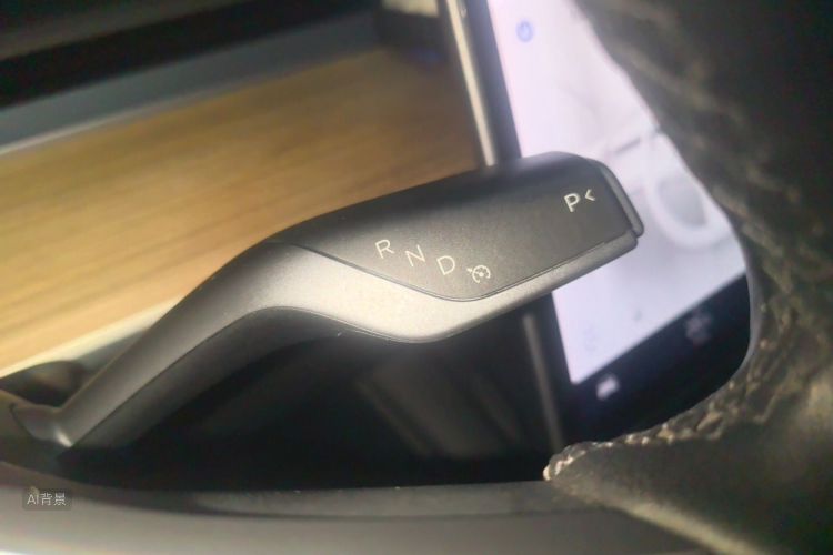 Tesla Model Y 2021 car image #16