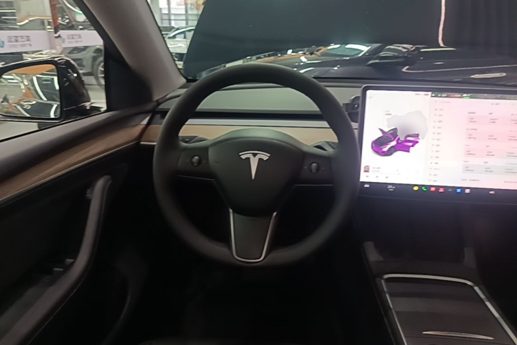 Tesla Model Y 2021 car image #11