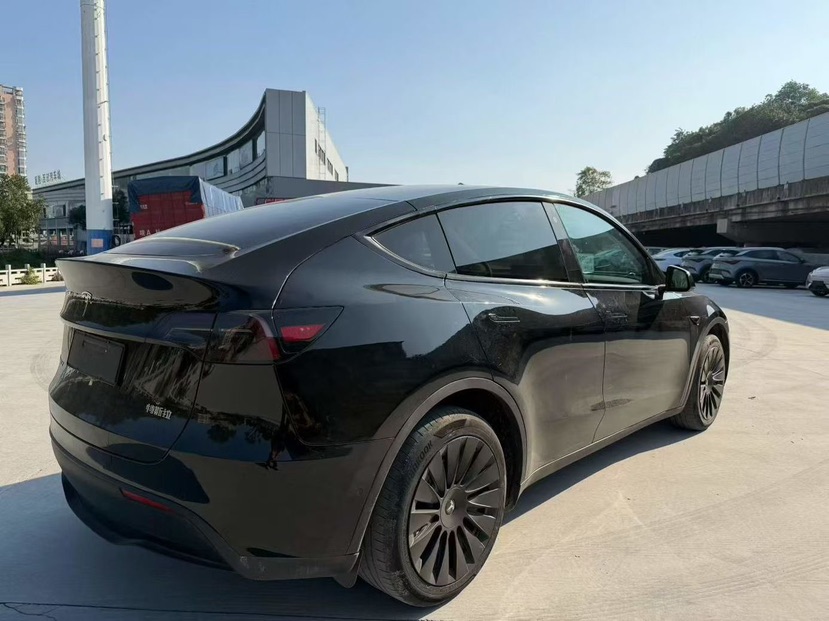 Tesla Model Y 2023 car image #6