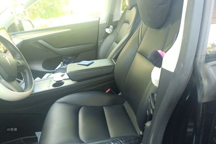 Tesla Model Y 2022 car image #17