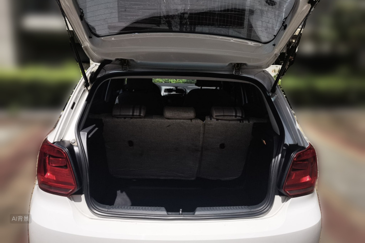 Volkswagen Polo 2015 car image #21