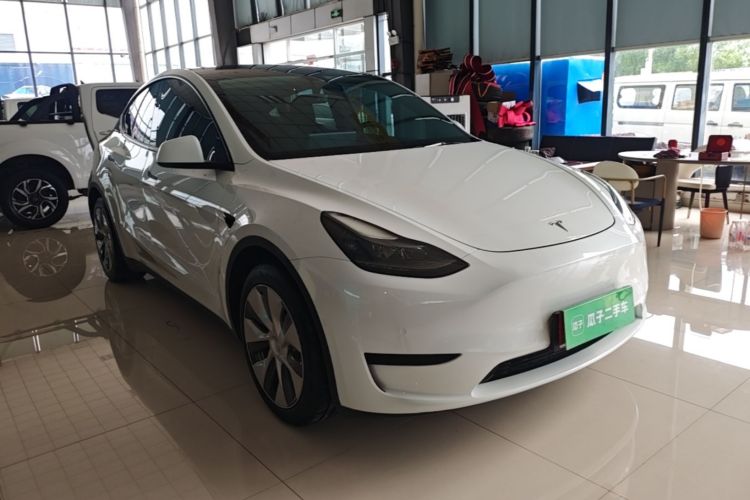 Tesla Model Y 2022 car image #6