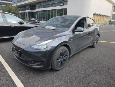 Tesla Model Y 2024 Tesla Model Y 2024 car image