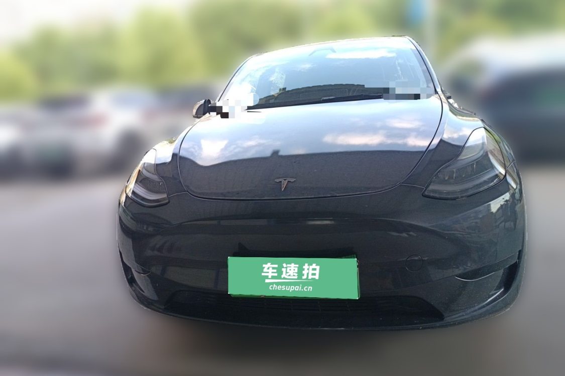 Tesla Model Y 2024 car image #5