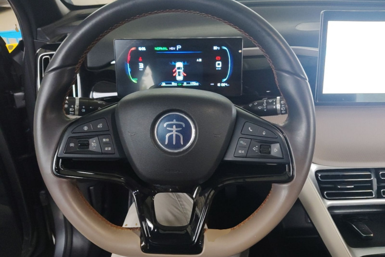 BYD Song Pro New Energy 2024 immagine di auto #15
