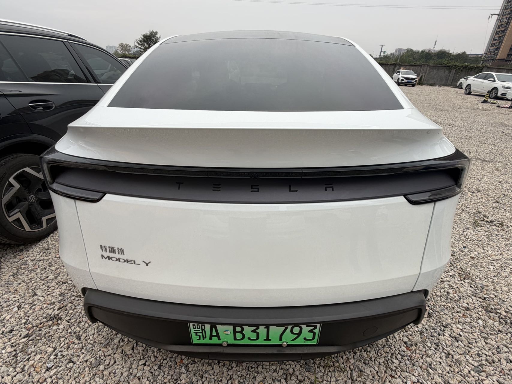 Tesla Model Y 2025 #9 Tesla Model Y 2025 صورة سيارة #9