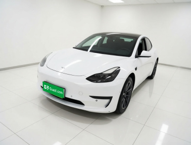 Tesla Model 3 2021 Tesla Model 3 2021 immagine di auto