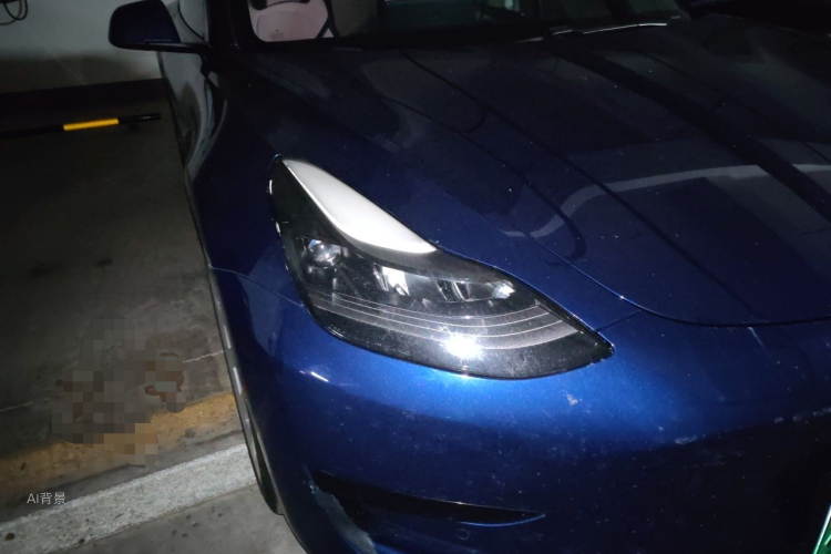 Tesla Model 3 2020 #8 Tesla Model 3 2020 car image #8