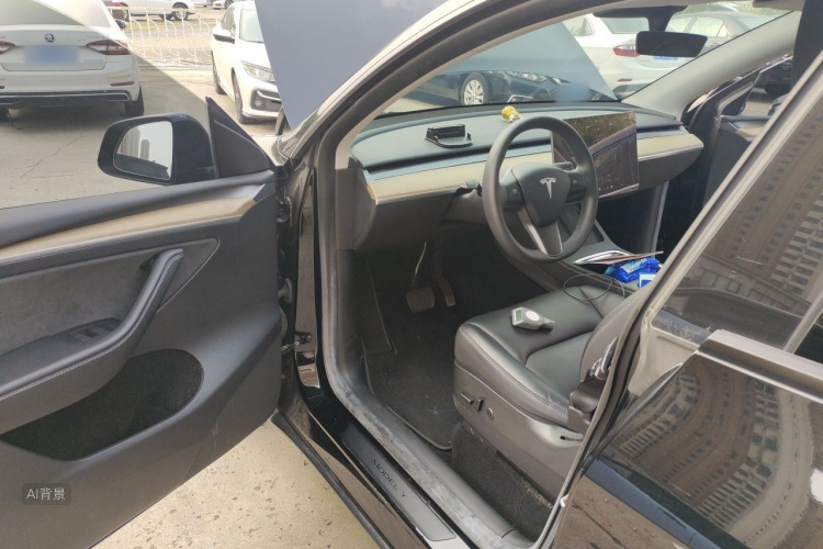 Tesla Model Y 2022 car image #18