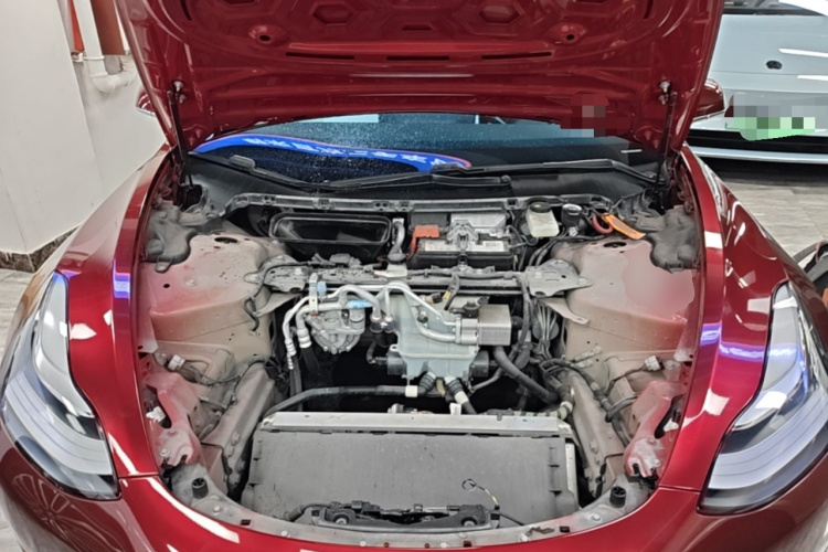 Tesla Model 3 2020 #20 Tesla Model 3 2020 car image #20