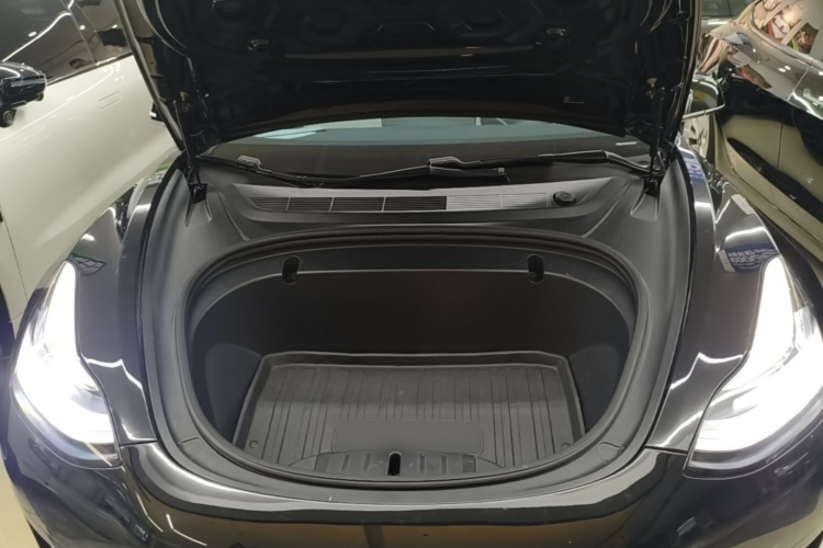 Tesla Model 3 2020 car image #22
