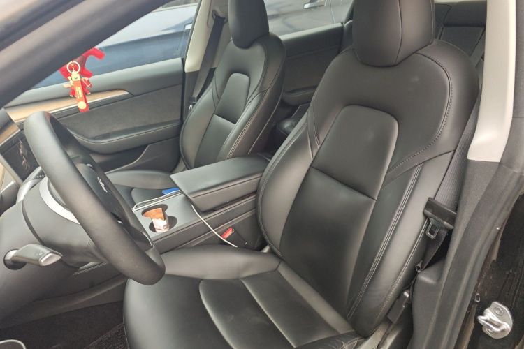 Tesla Model 3 2022 car image #19
