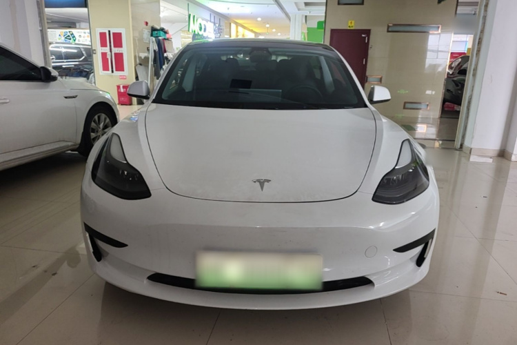 Tesla Model 3 2021 #3 Tesla Model 3 2021 car image #3