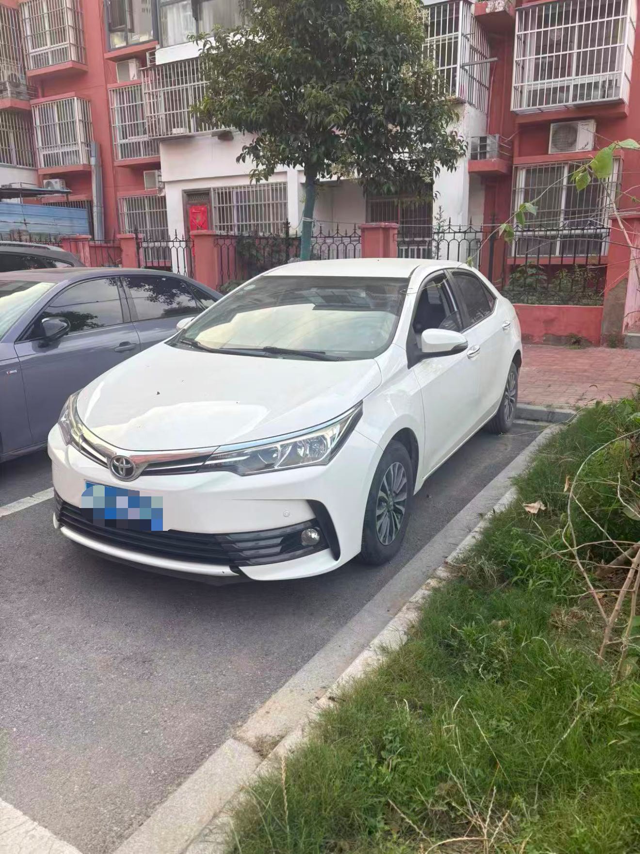 Toyota Corolla 2017 Toyota Corolla 2017 car image