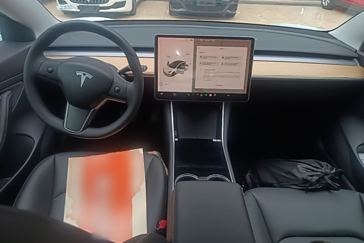 Tesla Model 3 2021 #10 Tesla Model 3 2021 car image #10
