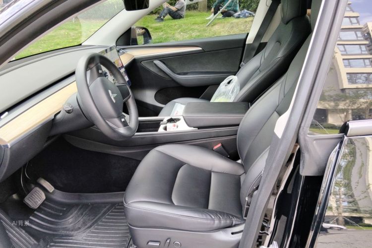 Tesla Model Y 2021 car image #17