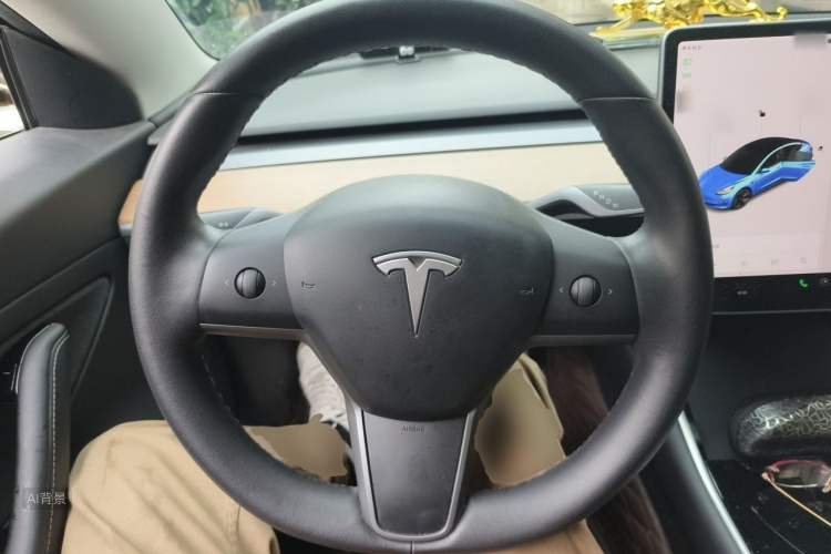 Tesla Model 3 2020 #12 Tesla Model 3 2020 car image #12
