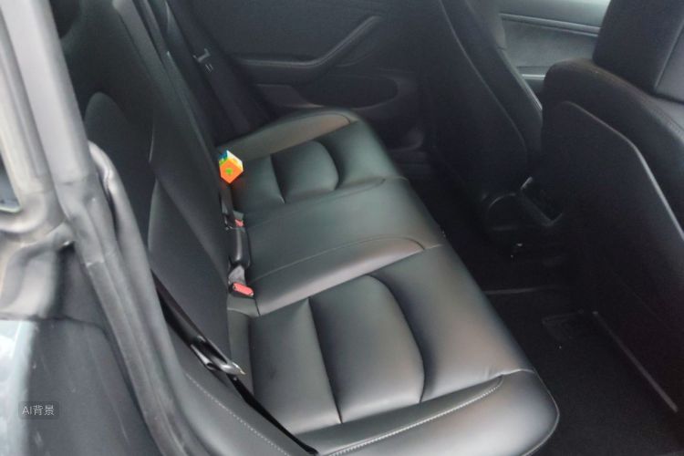 Tesla Model 3 2020 car image #19