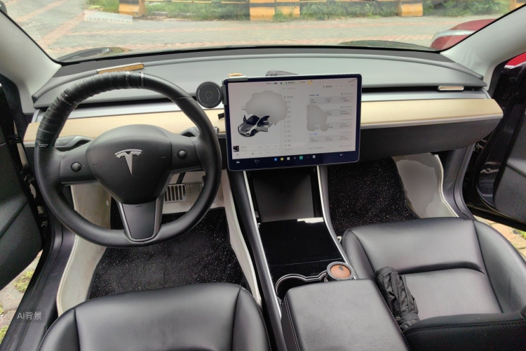 Tesla Model 3 2019 car image #11