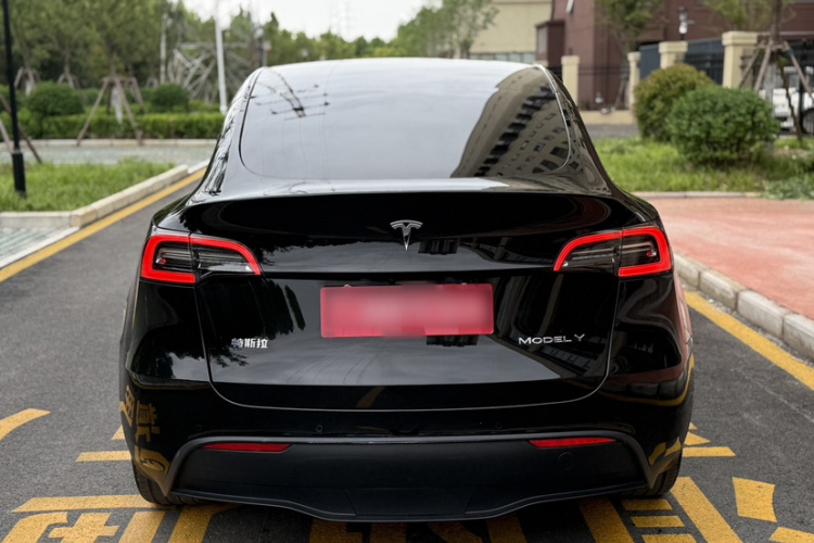Tesla Model Y 2022 car image #8