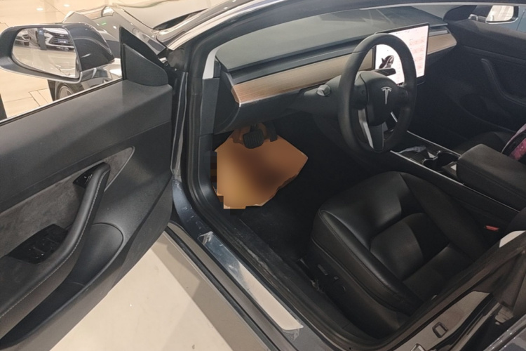 Tesla Model 3 2020 car image #16