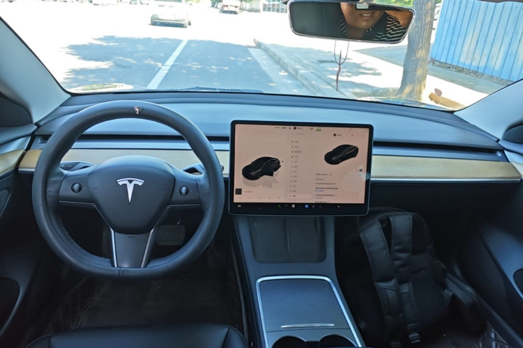 Tesla Model 3 2022 car image #11