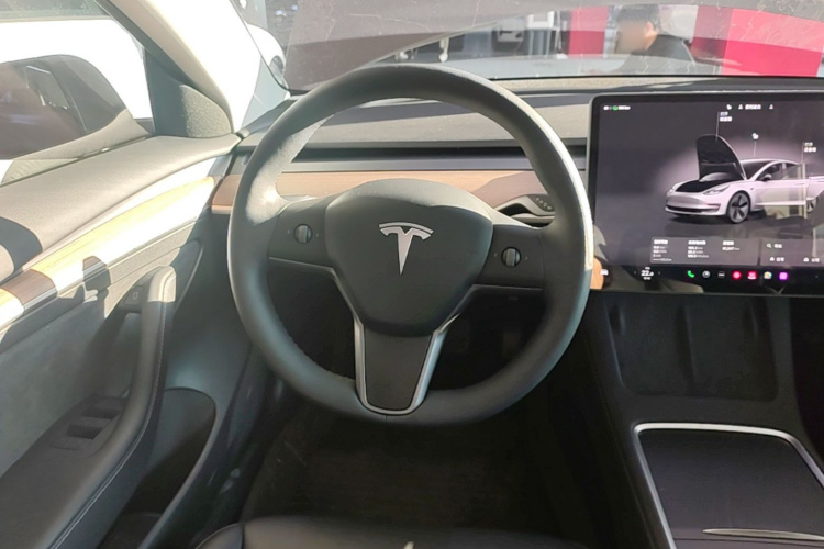 Tesla Model 3 2023 immagine di auto #11