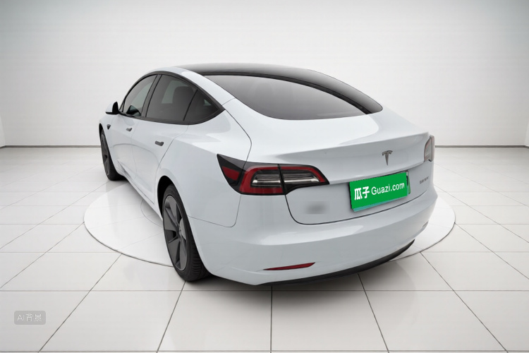 Tesla Model 3 2021 #5 Tesla Model 3 2021 car image #5