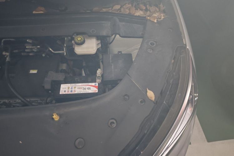 BYD Yuan Plus 2023 car image #25